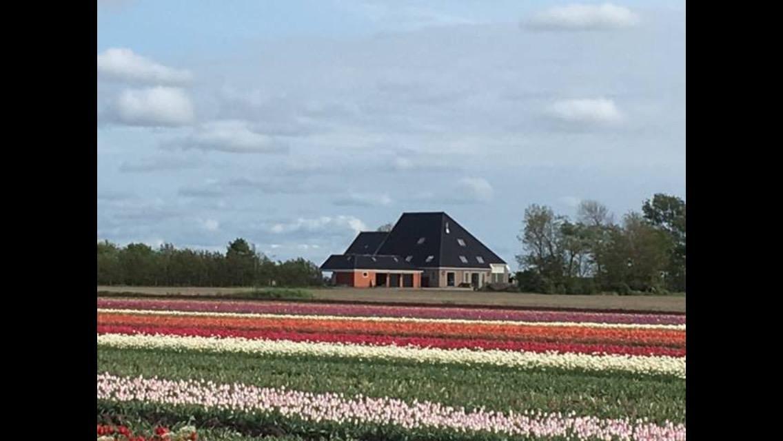 Bed and Breakfast Boerderij De Waard Anna Paulowna Exterior foto